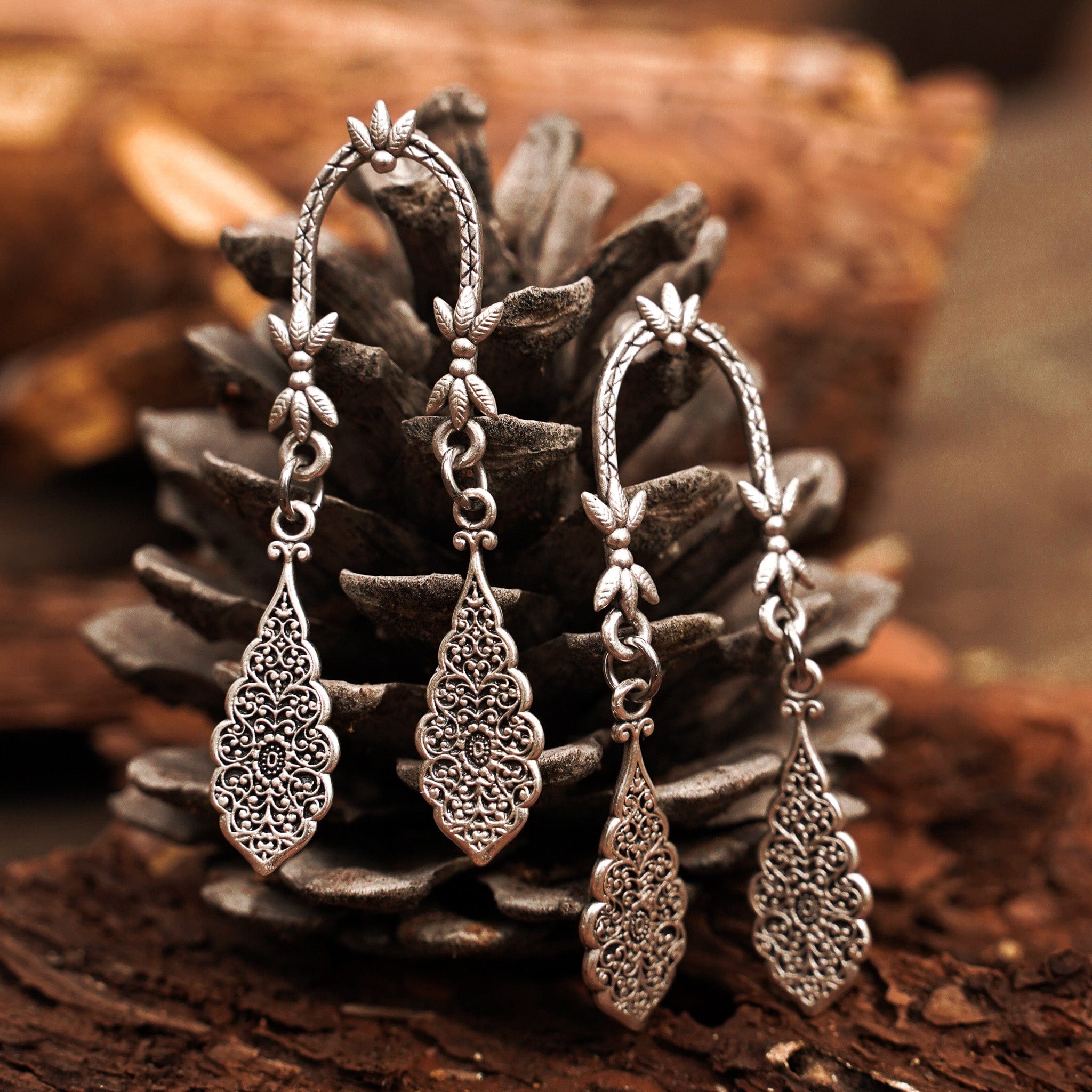 Earrings Arc Earrings