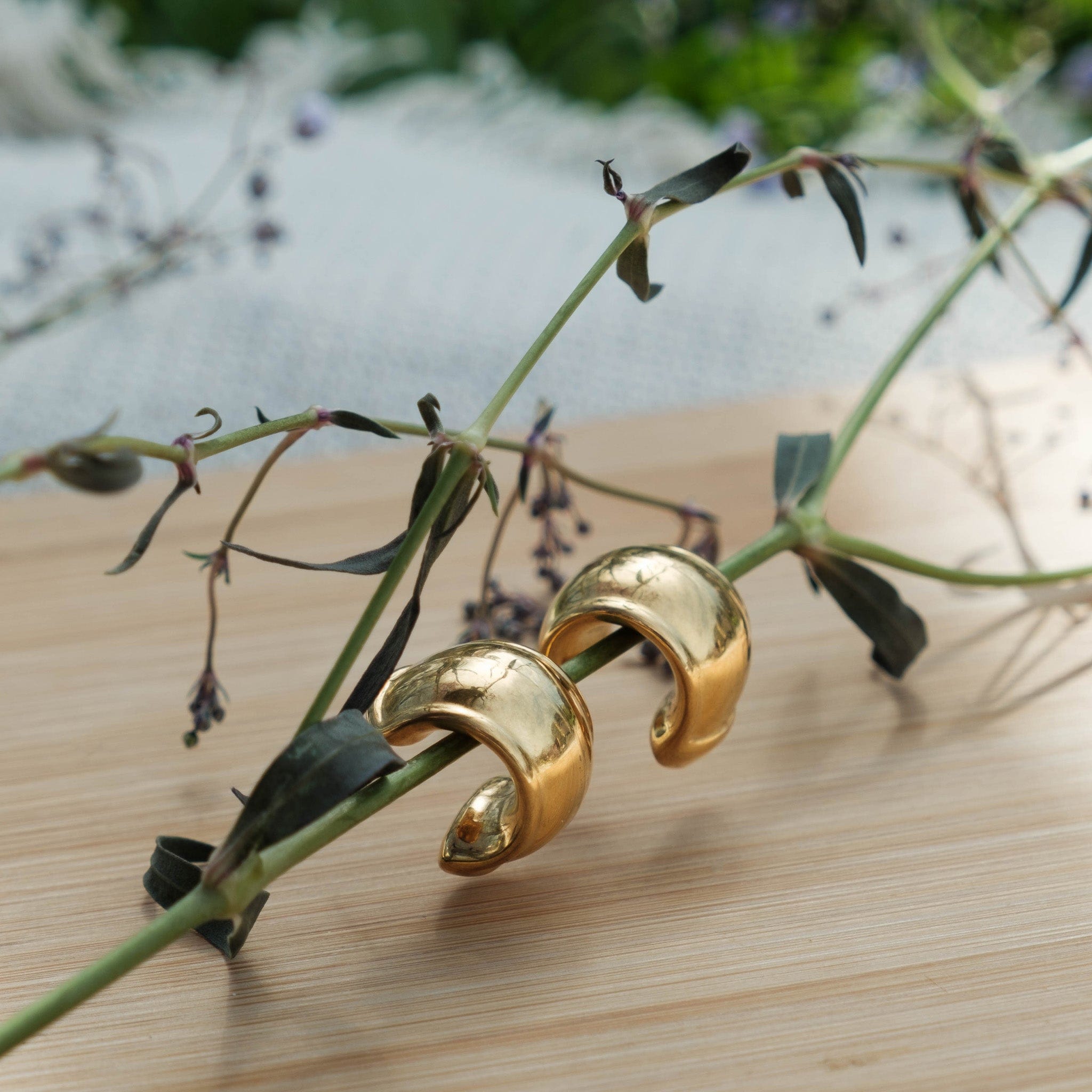 Earrings Soprano Earrings