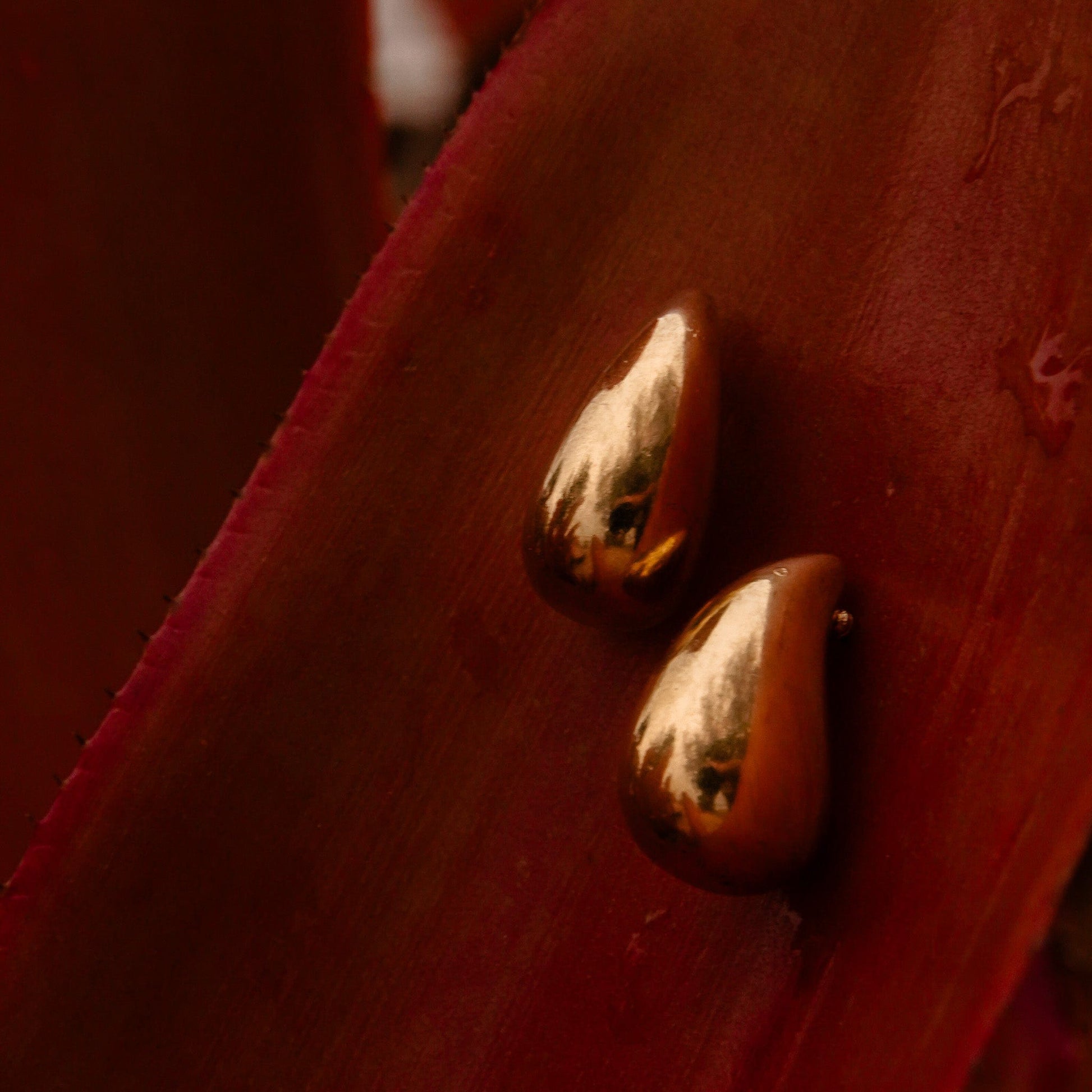 Teardrop Treasure Earrings